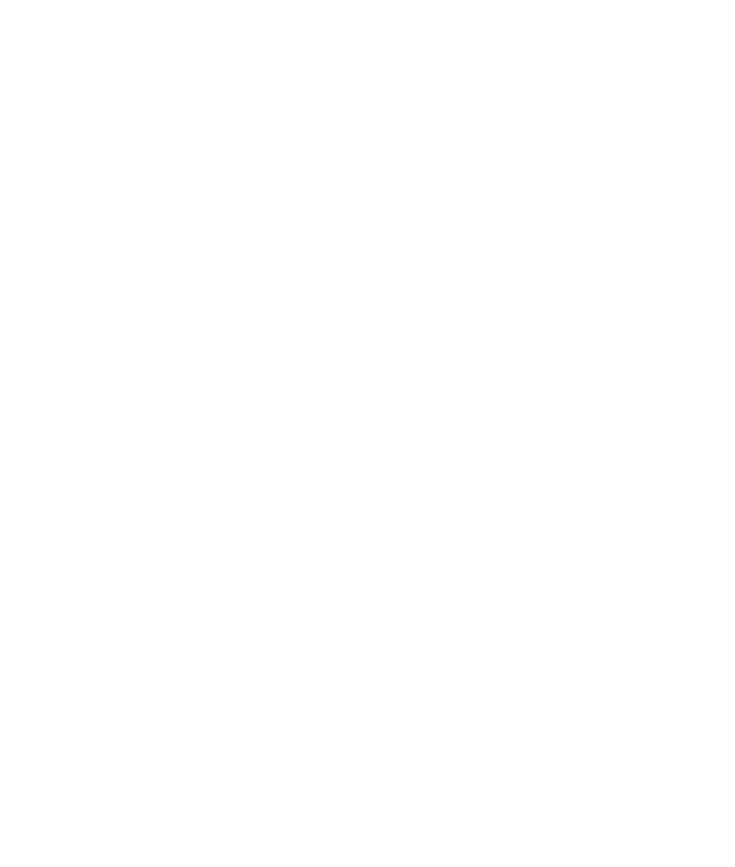 Araújo e Zangotti Advogados